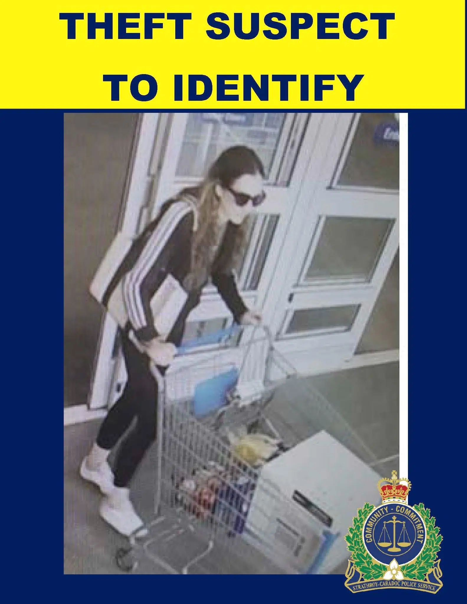 Police looking for Walmart theft suspect 105.7 Strathroy Today