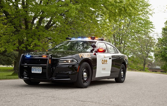 Driver struck after getting out of vehicle in Caledon - Vimarsana News