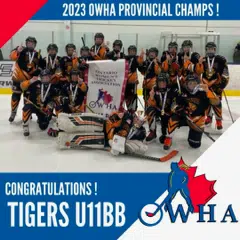 Orangeville U11 BB Tigers Are Provincial Champions! | FM101 Orangeville ...