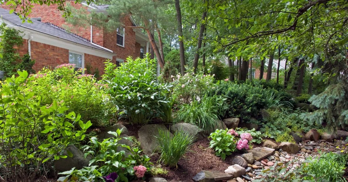 New rain garden coming to Brampton Elementary school FM101