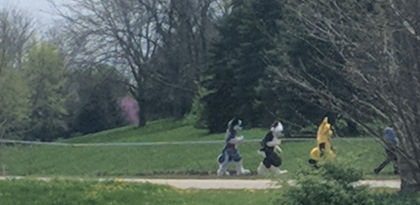 Furries Spotted In The Community, NCWHS Encourages 'Pride Week' - Vimarsana News