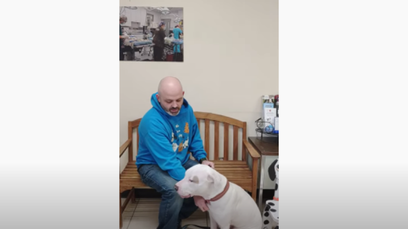 Meet Chance– Our APL Pet Project This Week - Vimarsana News