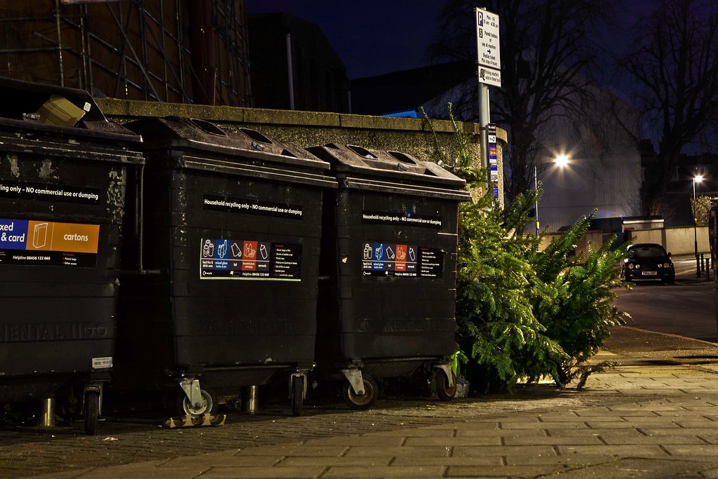 Springfield Christmas Tree Pick Up: January 10th At 7AM - Vimarsana News