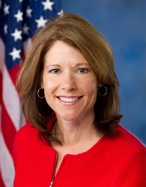 Illinois Democrat Bustos Won't Seek Another Term In Congress | WMAY | Stay Informed. Stay Connected. - Vimarsana News