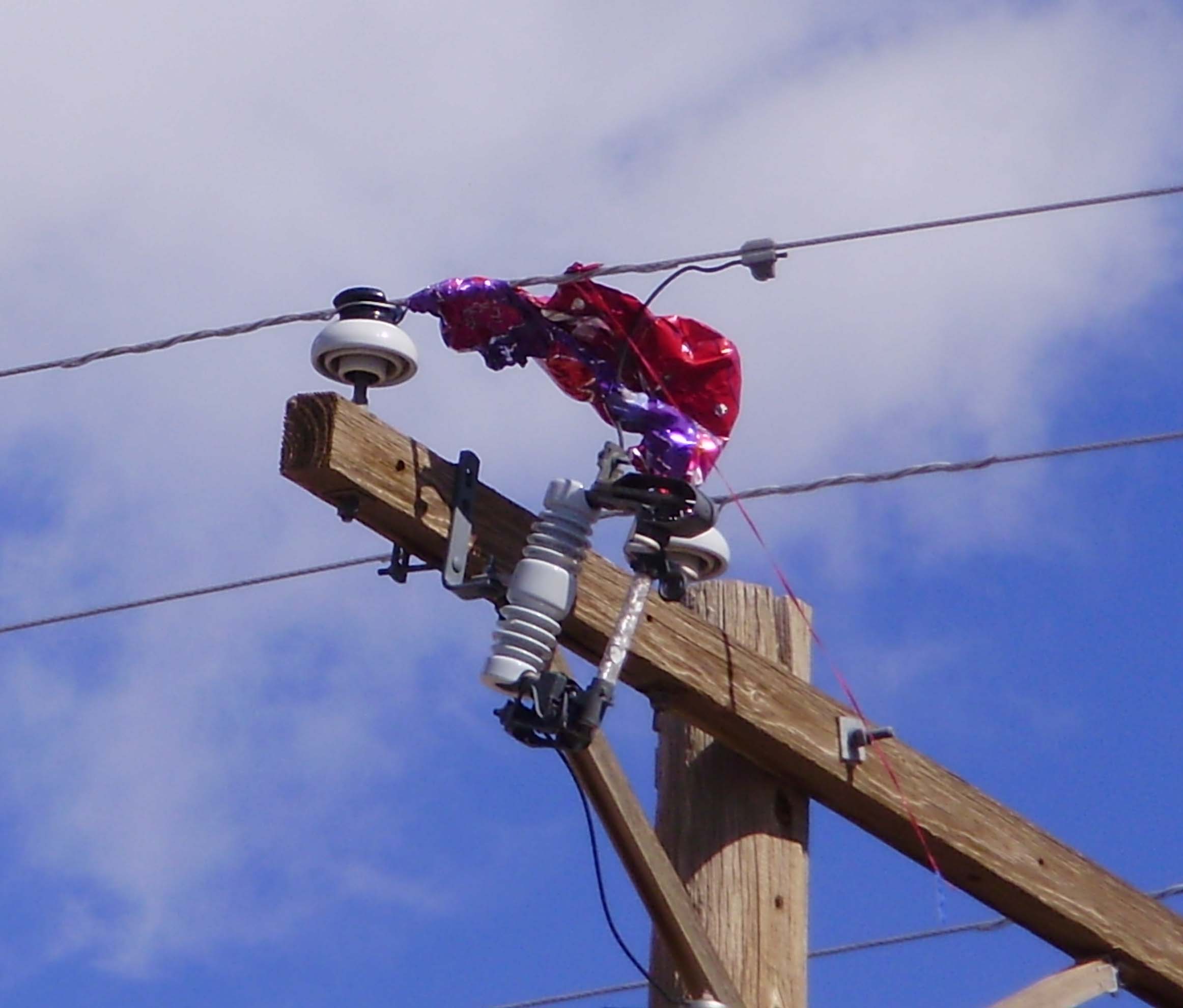 Mylar Balloons Blamed For Weekend Power Outage In Springfield - Vimarsana News