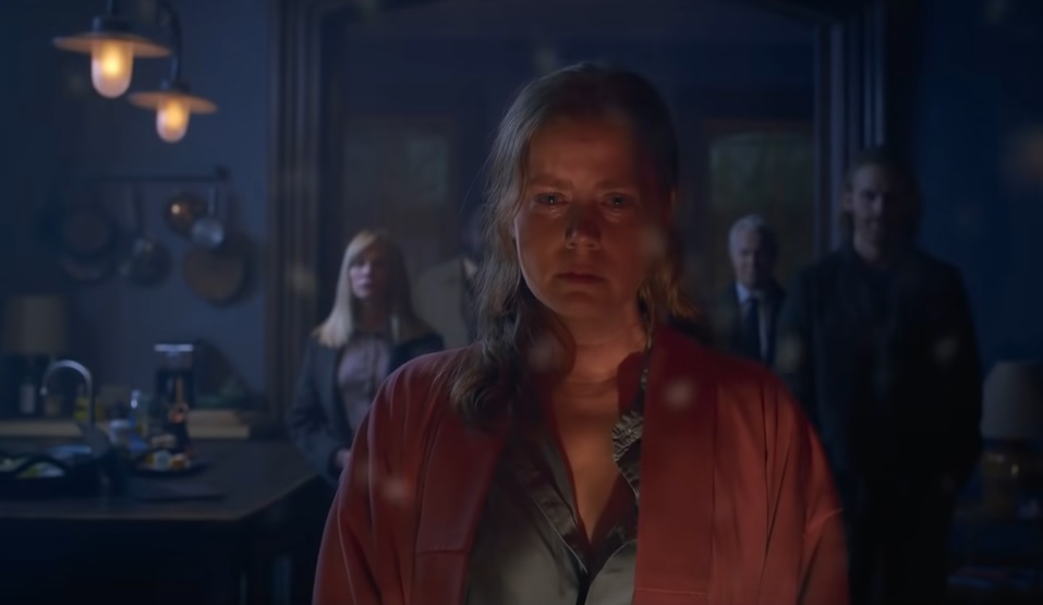 The Woman In The Window: Movie Review [SPOILERS] - Vimarsana News