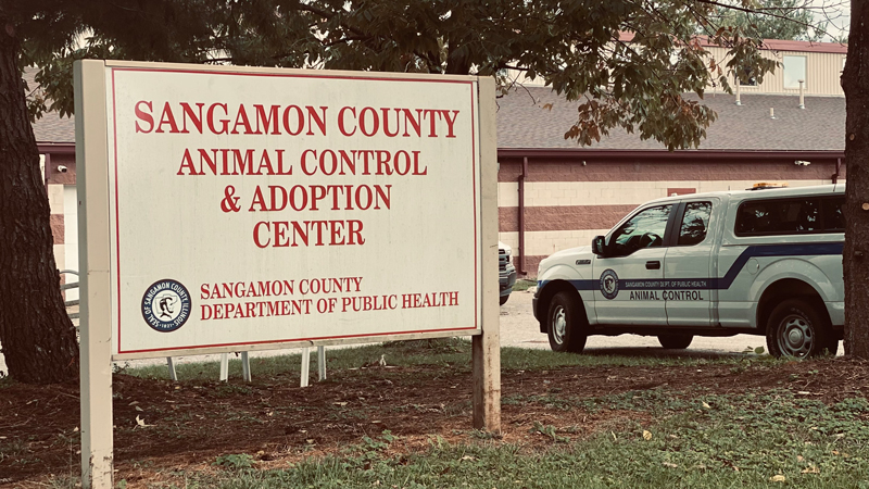 County Expects Movement On Animal Control Controversy In New Year - Vimarsana News