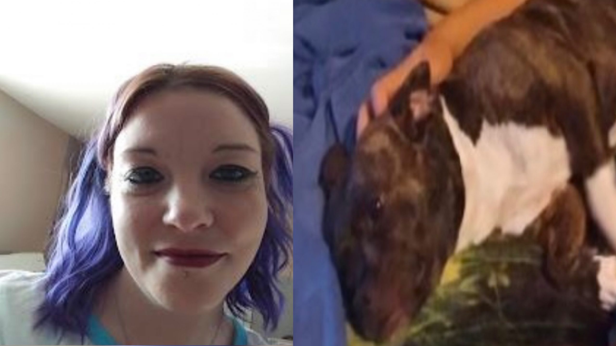 Sheriff's Office Seeks Help Locating Missing Woman | WMAY | Stay Informed. Stay Connected. - Vimarsana News