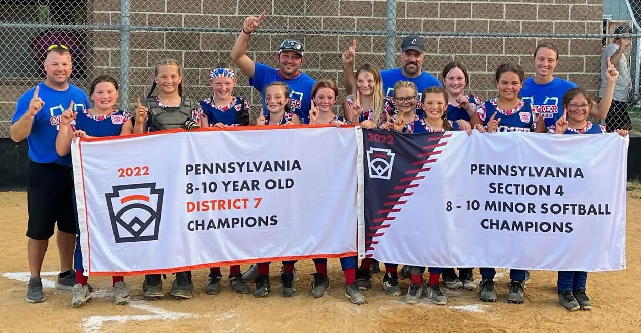 Lower Merion Little League squad wins Pa. State Intermediate Baseball  Tournament – Mainline Media News