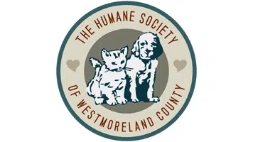 HUMANE SOCIETY SEEKS DONATIONS AFTER RESCUING CATS, DOGS FROM VAN IN ...