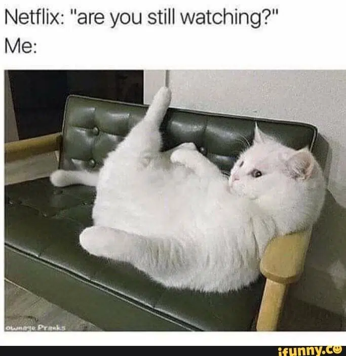 How Long Would It Take You To Watch Everything On Netflix 96 7 Wtsa Fm