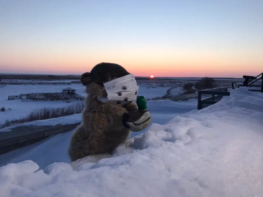 Groundhog Day Manitoba Merv Sees His Shadow ENERGY 106