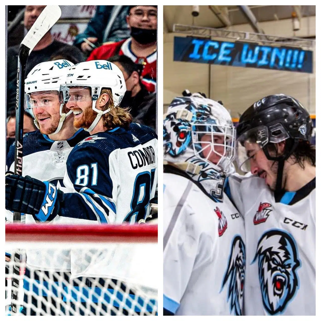 winnipeg jets game cancelled