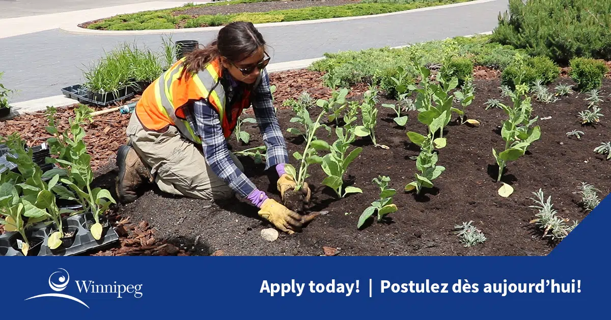 The City Of Winnipeg Is Hiring Hundreds Of Seasonal Positions ENERGY 106