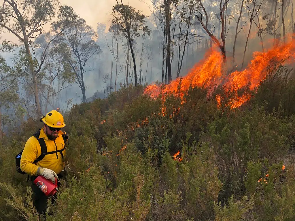 UPD: Canada’s wildfires impacting Nova Scotia’s air quality | Hot ...