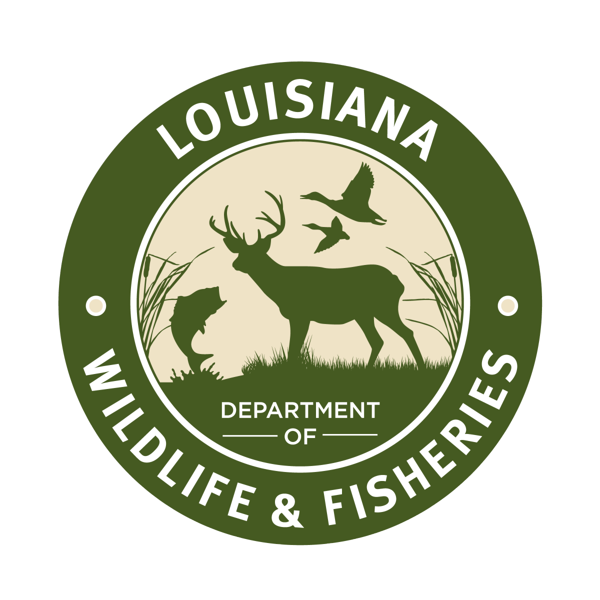 Louisiana Department of Wildlife and Fisheries alerts public of potential fish kills due to hot temperatures and summer storms - Vimarsana News