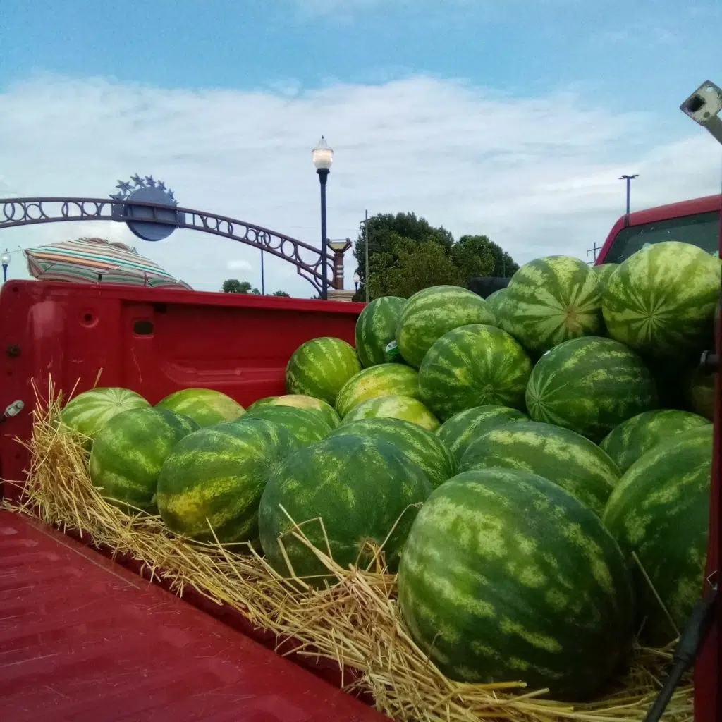 Mr. Verbarg - Missouri Watermelon - Massac County Farmer's Market