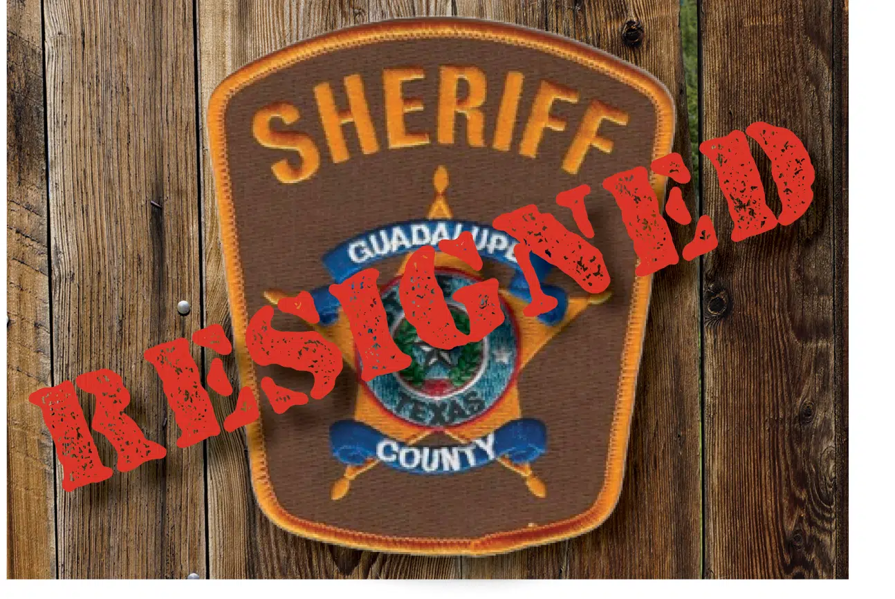 GUADALUPE COUNTY TEXAS TX SHERIFF POLICE PATCH