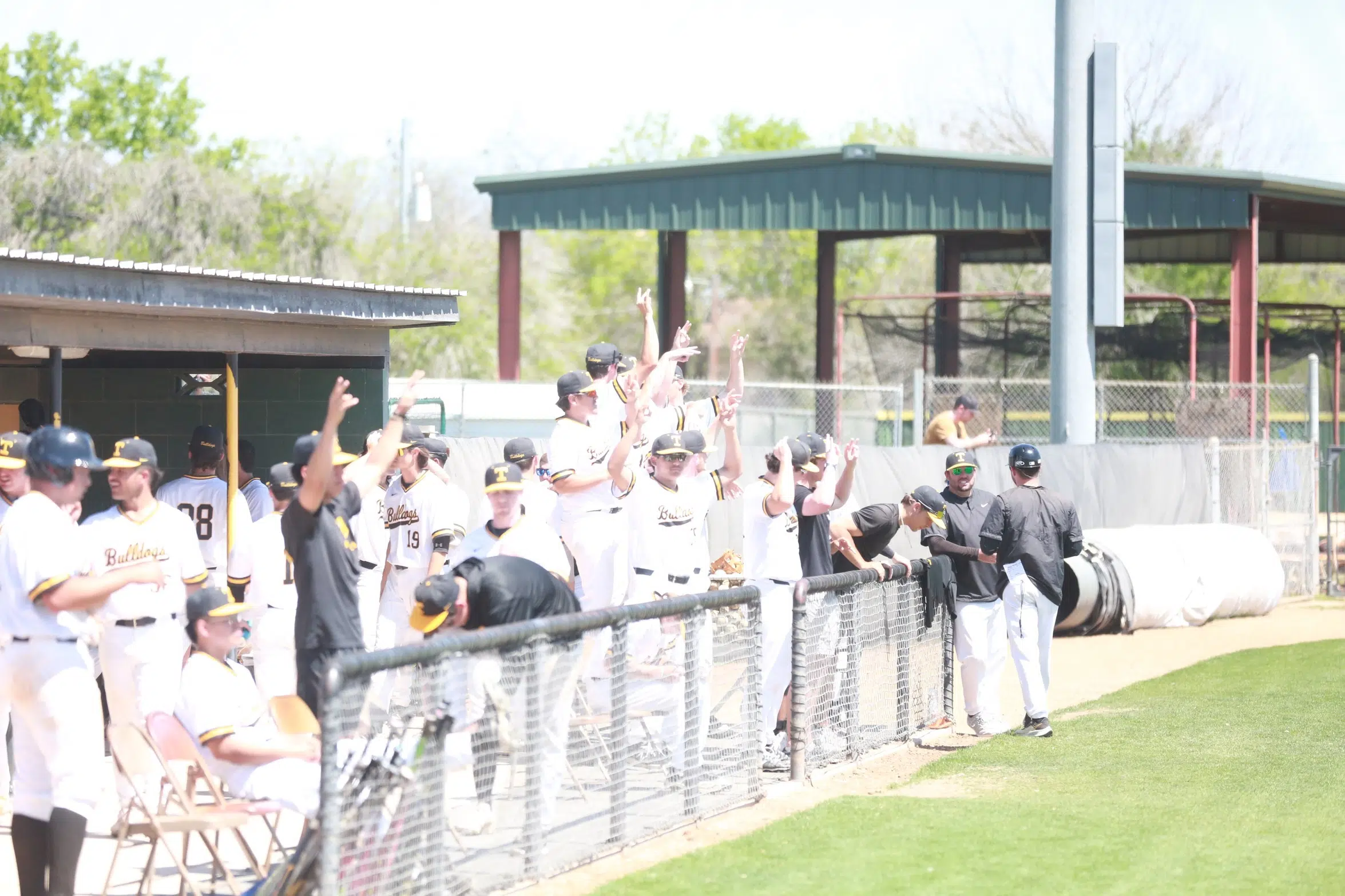 BASEBALL — TLU Baseball Releases Complete 2023 Schedule | Seguin Today