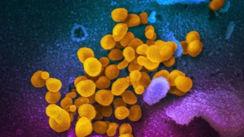 Coronavirus fears prompt new federal warning against travel to Iran