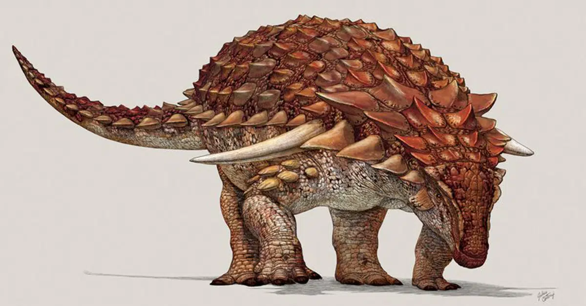 Nodosaur illustration