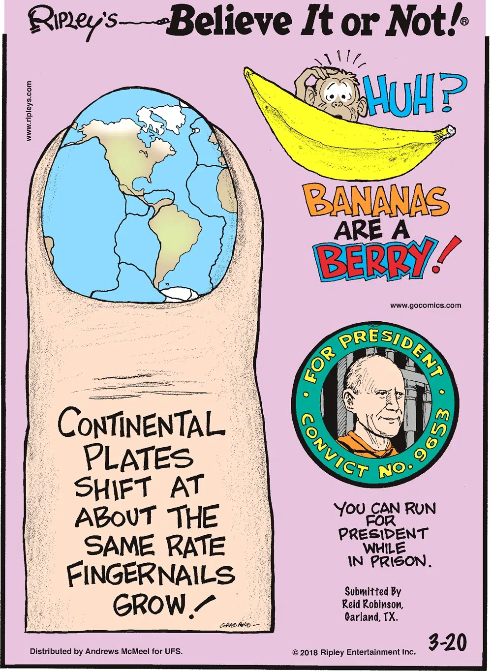 Continental plates shift at about the same rate fingernails grow!-------------------- Bananas are a berry!-------------------- You can run for president while in prison. Submitted by Reid Robinson, Garland, TX.