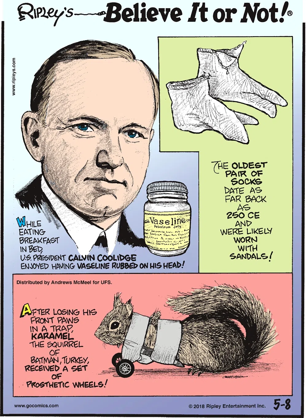 While eating breakfast in bed, U.S. President Calvin Coolidge enjoyed having Vaseline rubbed on his head!-------------------- The oldest pair of socks date as far back as 250 CE and were likely worn with sandals!-------------------- After losing his front paws in a trap, Karamel the Squirrel of Batman, Turkey, received a set of prosthetic wheels!