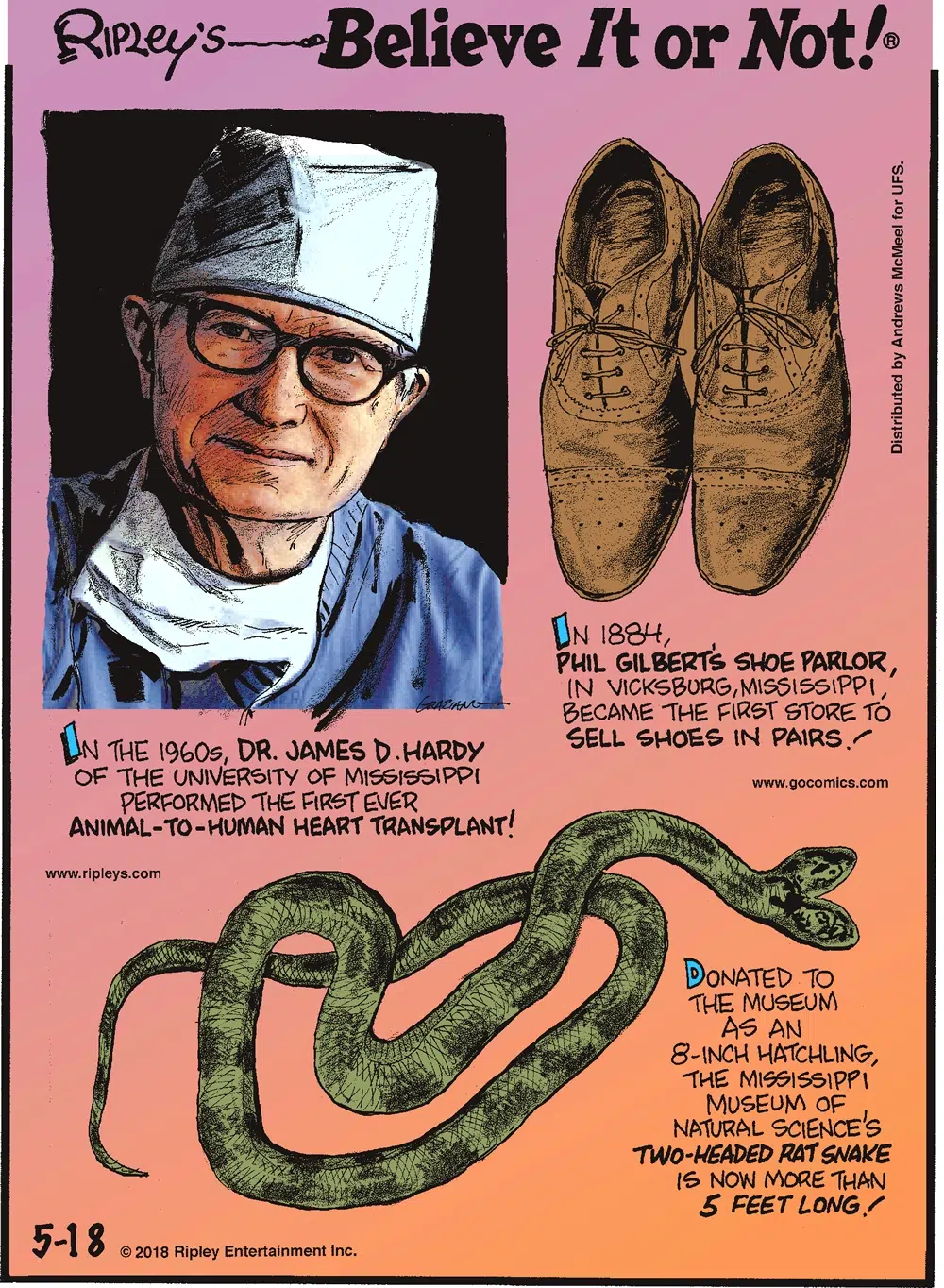 In the 1960s, Dr. James D. Hardy of the University of Mississippi performed the first ever animal-to-human heart transplant!-------------------- In 1884, Phil Gilbert's Shoe Parlor, in Vicksburg, Mississippi became the first store to sell shoes in pairs!-------------------- Donated to the museum as an 8-inch hatchling, the Mississippi Museum of Natural Science's two-headed rat snake is now more than 5 feet long!