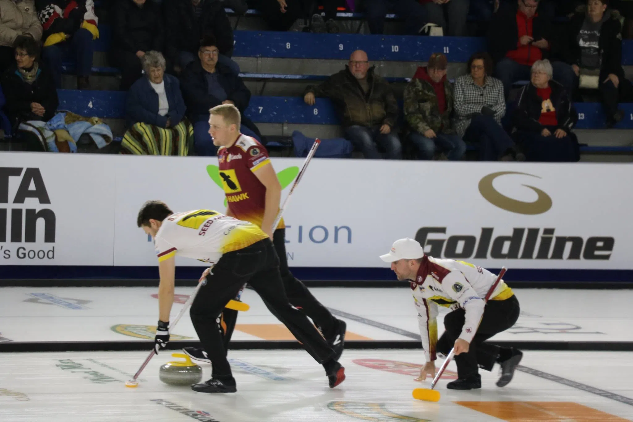 pinty-s-grand-slam-of-curling-2019-passes-on-sale-now-battlefordsnow