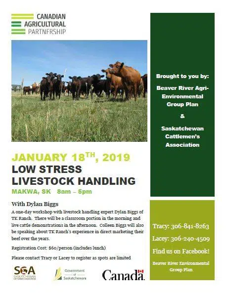 Low Stress Livestock Handling Workshop | BattlefordsNOW