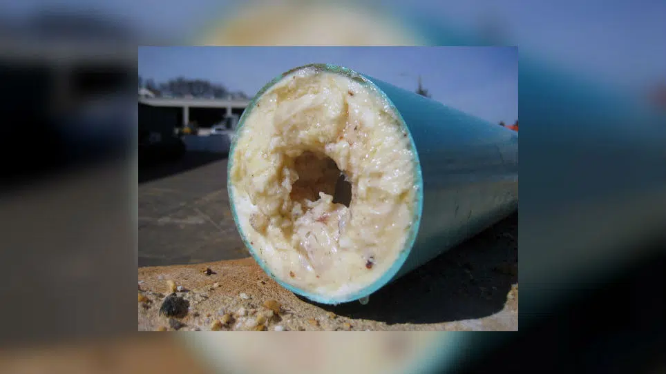 Proper grease disposal important to Unity officials battlefordsNOW