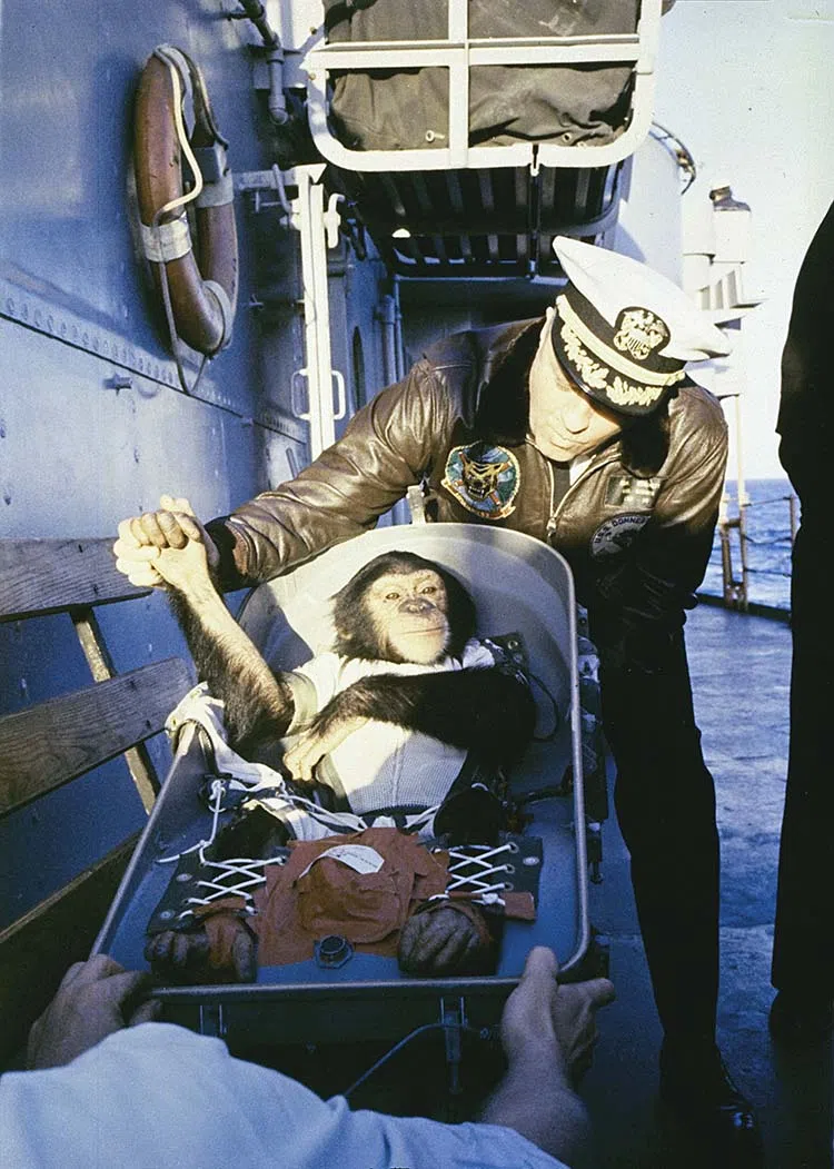 ham the space chimp