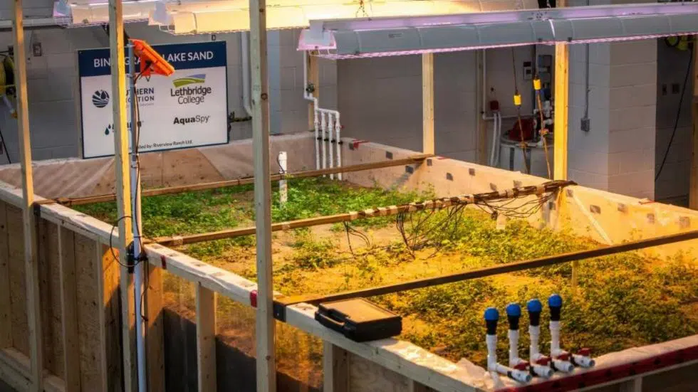 Underground irrigation system being tested at Lethbridge College