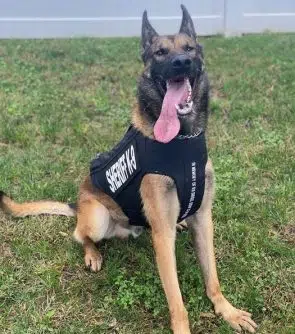 BCSO K9 receives donated body armor