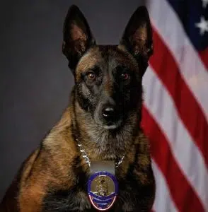 Franklin police dog dies