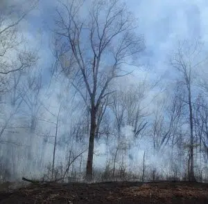 Prescribed fires planned for Hoosier National Forest