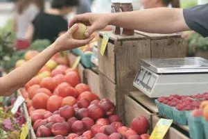 Franklin Farmers Market announces opening day