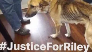 Photo taken from change.org petition page.