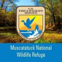 Muscatatuck Wildlife Refuge hosts photo contest | QMIX 107.3