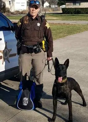 BCSO K-9 officer needs surgery | KORN Country 100.3 | WYGB-FM Franklin ...