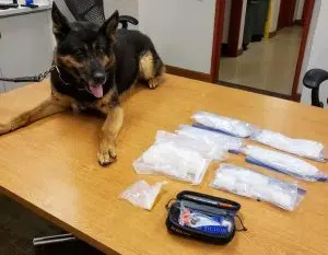 CPD busts Lafayette man for dealing meth