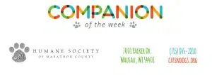 Companion of the Week - Humane Society of Marathon County