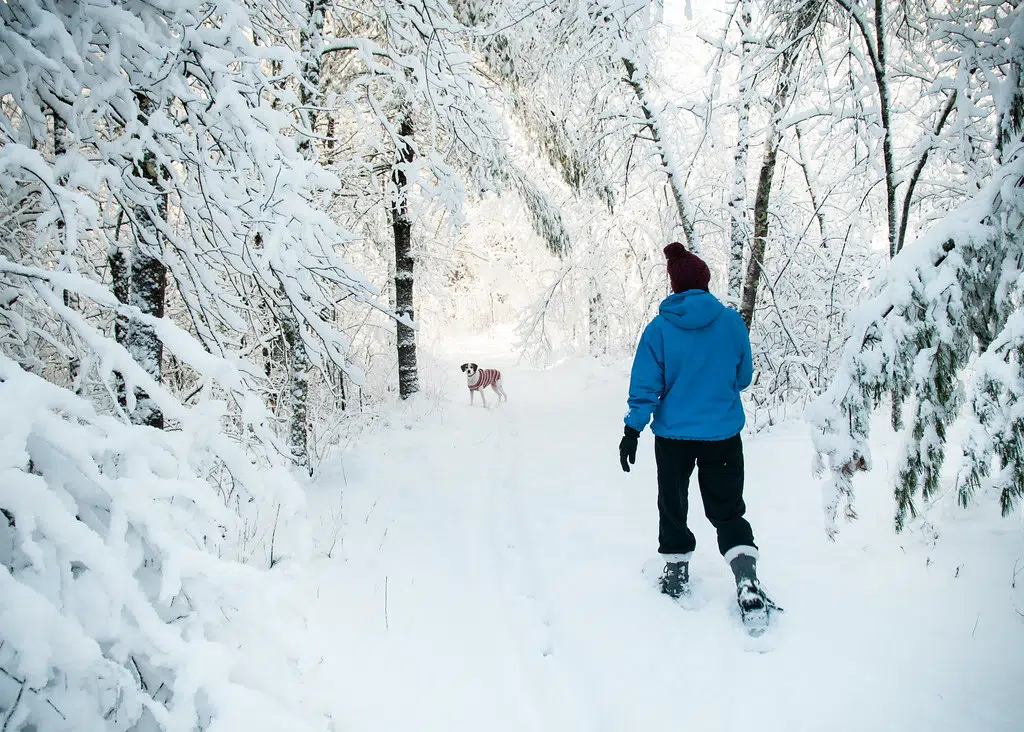 Nine Mile Forest trails open for skiing, snowshoeing WSAU News/Talk