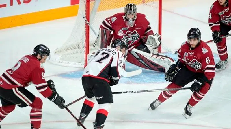 NHL Draft Profiles Archives - Guelph Storm