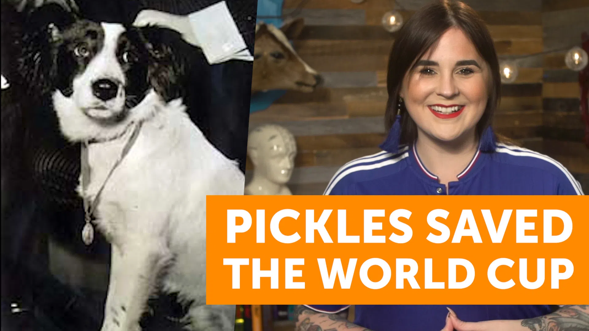 pickles world cup