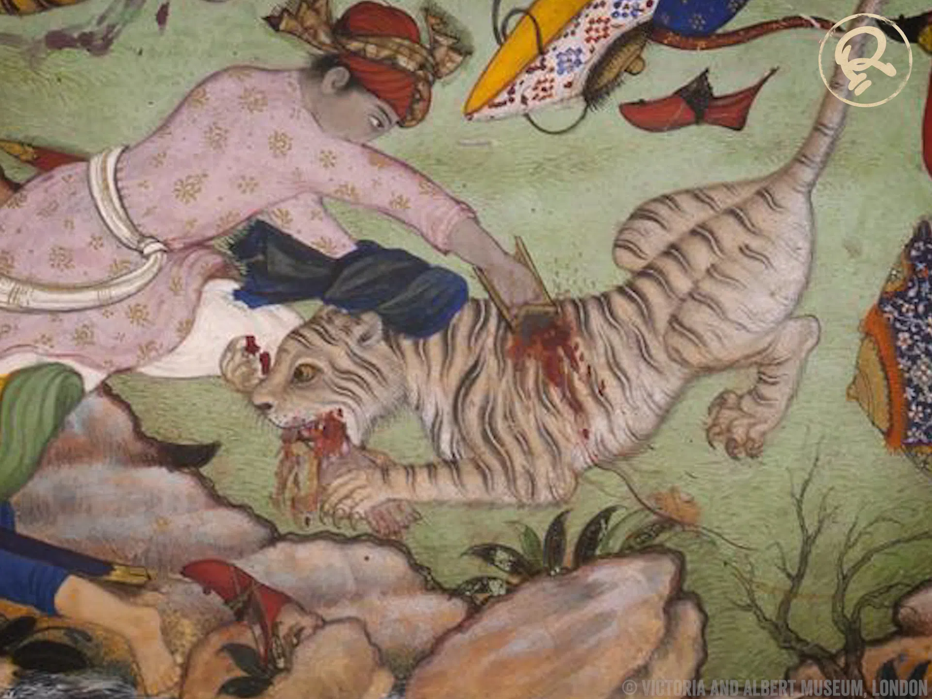 katar fights tiger