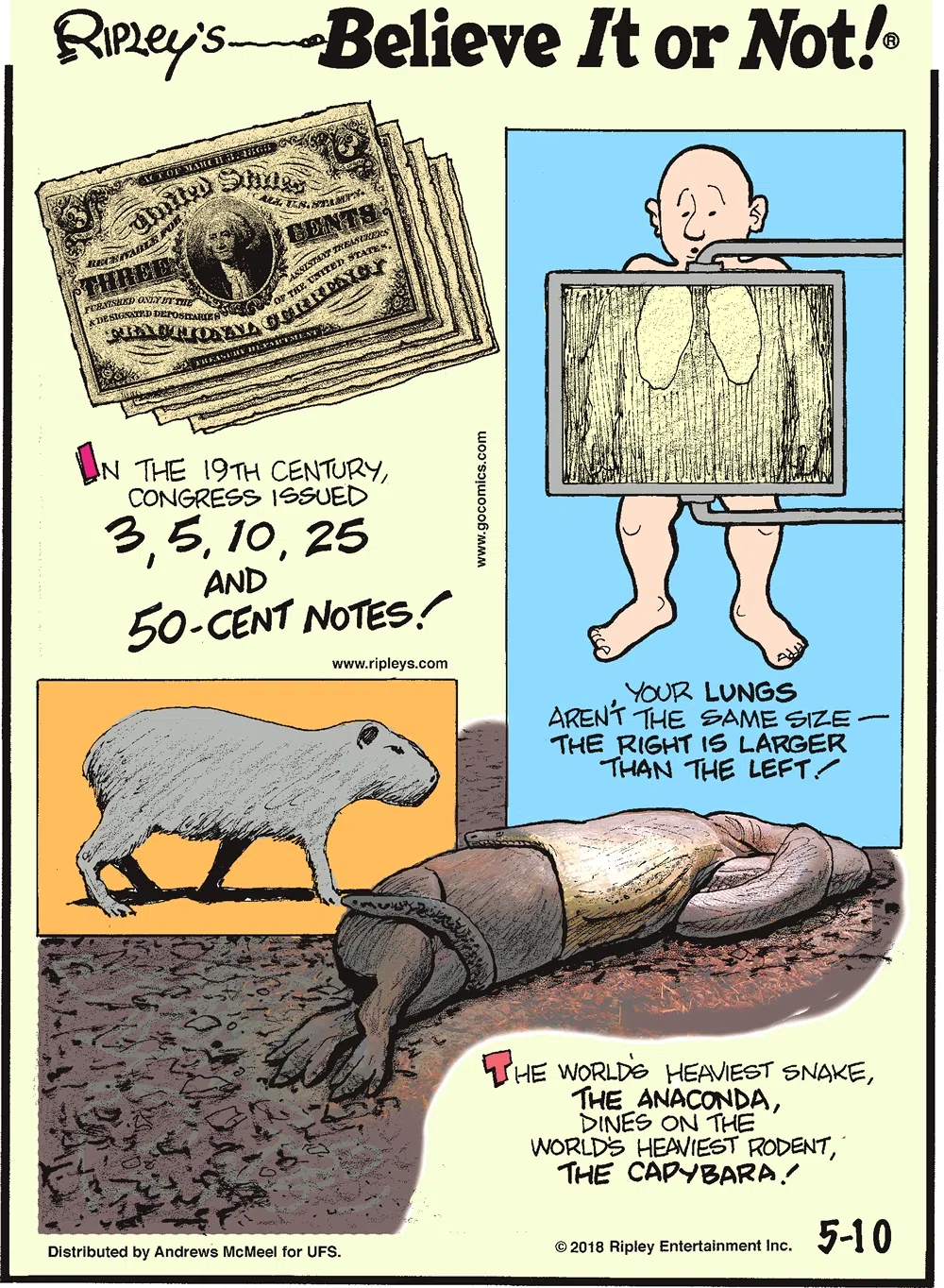 In the 19th century, Congress issued 3, 5, 10, 25 and 50-cent notes!-------------------- Your lungs aren't the same size - the right is larger than the left!-------------------- The world's heaviest snake, the anaconda, dines on the world's heaviest rodent, the capybara.