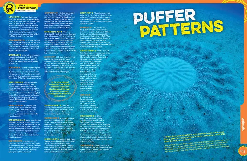 Puffer Patterns
