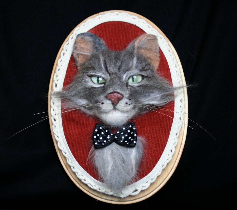 a whole other cat