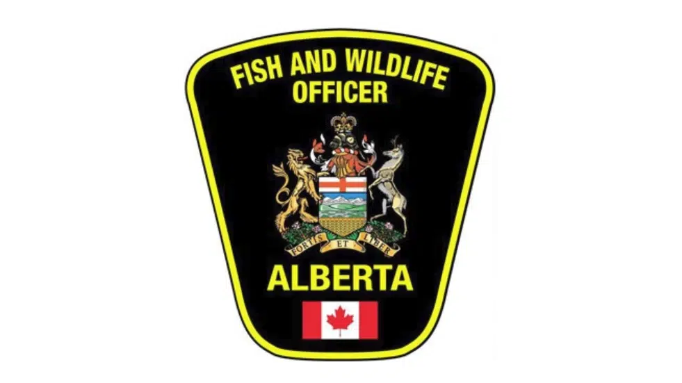 More fines, tickets await land abusers on Alberta public lands this summer